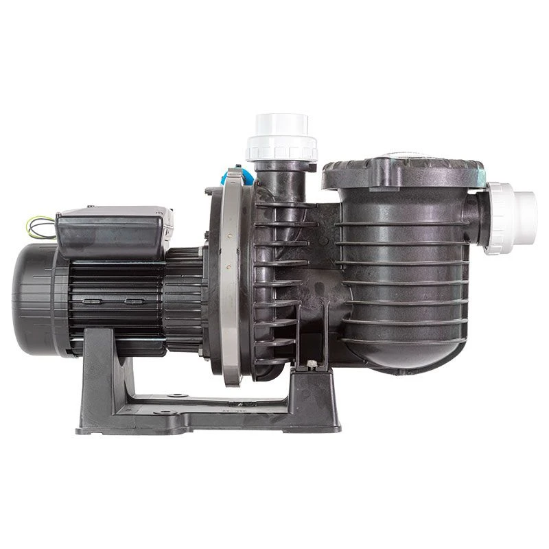 Pompe Pentair La Sta Rite HD Compatible Eau Salée 4 Pompe Pentair La Sta Rite HD Compatible Eau Salée – Image 4